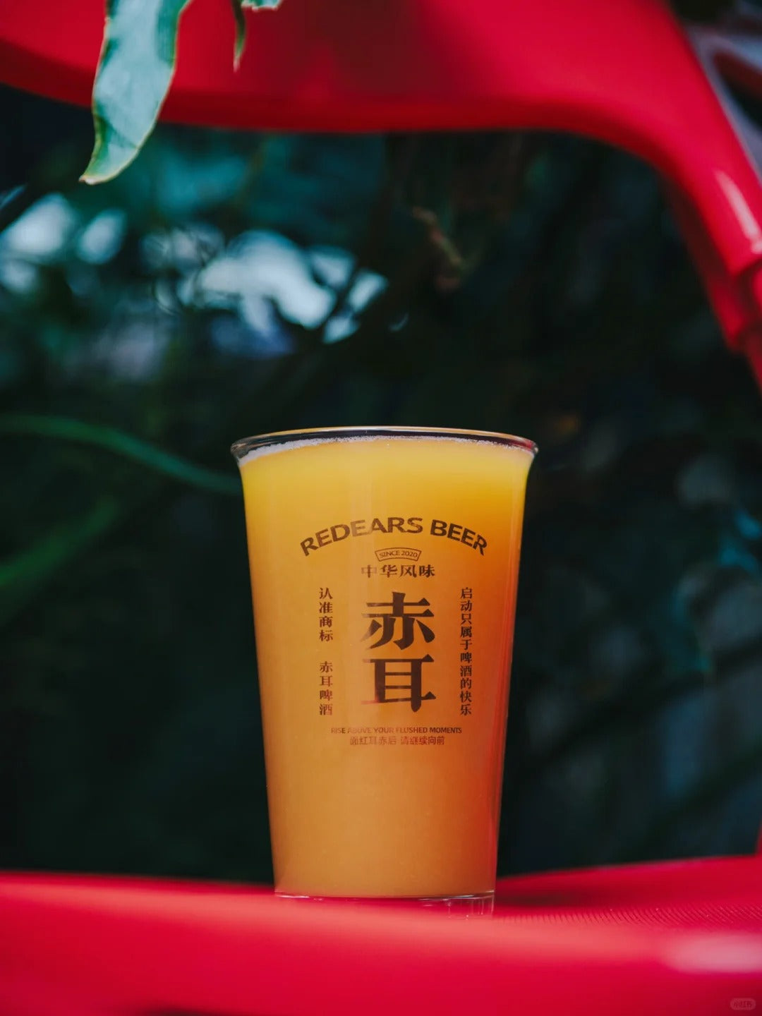 Mango Citrus Sour Beer Lambic | 芒果柑橘酸艾尔